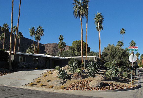 Desert Landscape Design